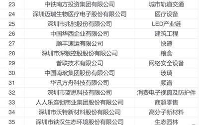 深圳行业领袖企业100强榜单发布 网络科技先锋引领产业新浪潮